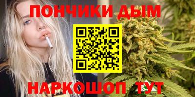 гашик Обнинск